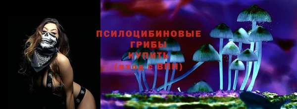 ALPHA PVP Алексеевка