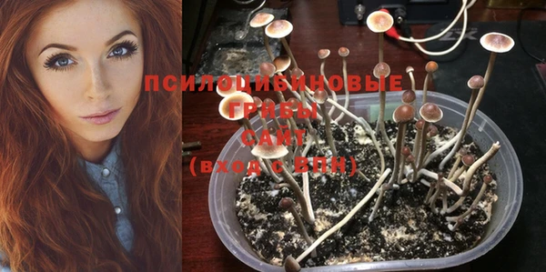 соль курить ск Алексин