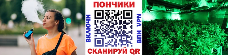 Купить где  Северодвинск  Шишки марихуана гибрид 